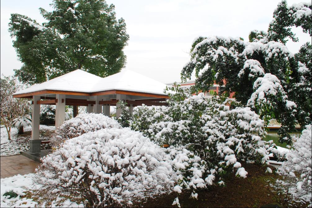雪景22.jpg