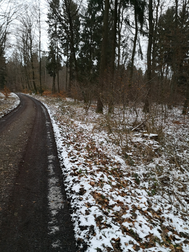 IMG_20180210_170924.jpg